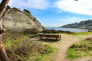 Bilde av Søndre Trubervika